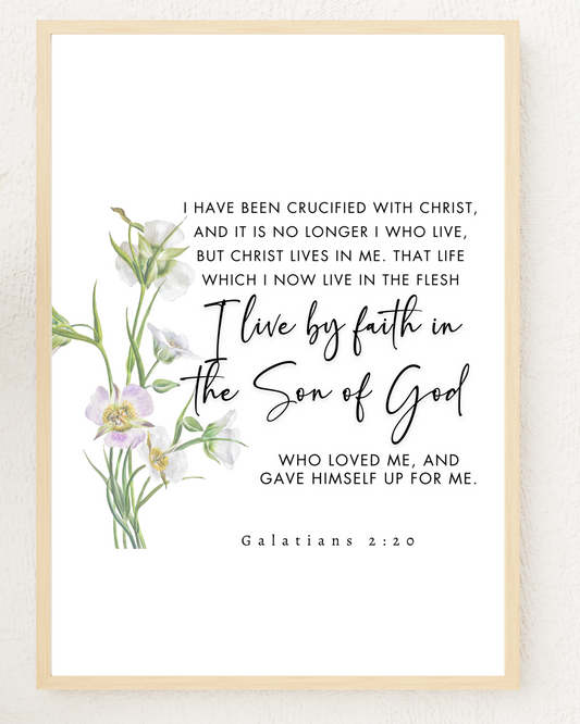 Close-up of Galatians 2:20 wall art print in a gold frame showing the botanical illustration